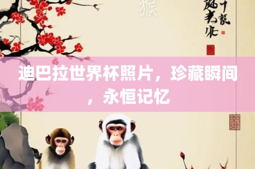 迪巴拉世界杯照片，珍藏瞬间，永恒记忆