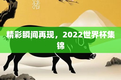 精彩瞬间再现，2022世界杯集锦漯河市盈旭机械设备有限公司