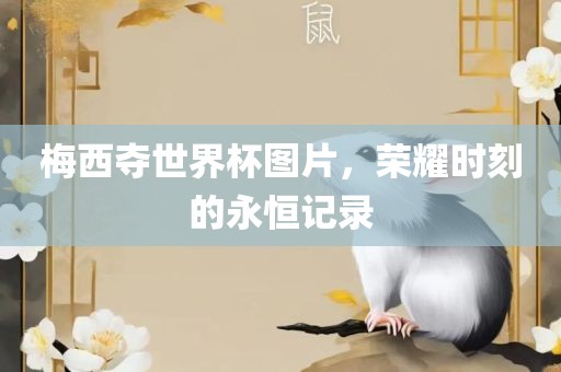 梅西夺世界杯图片，荣耀时刻的永恒记录