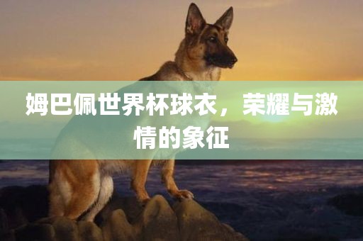 姆巴佩世界杯球衣，荣耀与激情的象征
