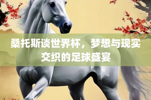 桑托斯谈世界杯，梦想与现实交织的足球盛宴漯河市盈旭机械设备有限公司