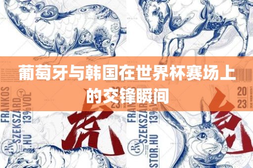 葡萄牙与韩国在世界杯赛场上的交锋瞬间