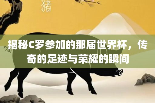 揭秘C罗参加的那届世界杯，传奇的足迹与荣耀的瞬间漯河市盈旭机械设备有限公司