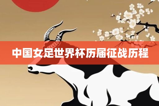 中国女足世界杯历届征战历程漯河市盈旭机械设备有限公司