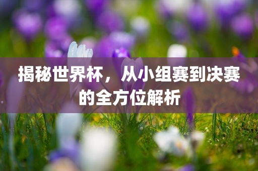 揭秘世界杯，从小组赛到决赛的全方位解析