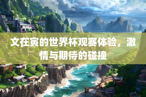 文在寅的世界杯观赛体验，激情与期待的碰撞漯河市盈旭机械设备有限公司