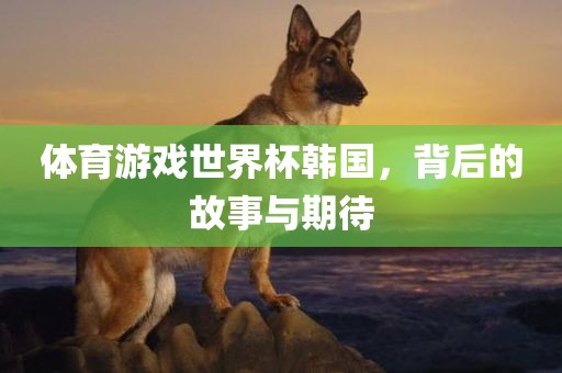 体育游戏世界杯韩国，背后的故事与期待漯河市盈旭机械设备有限公司