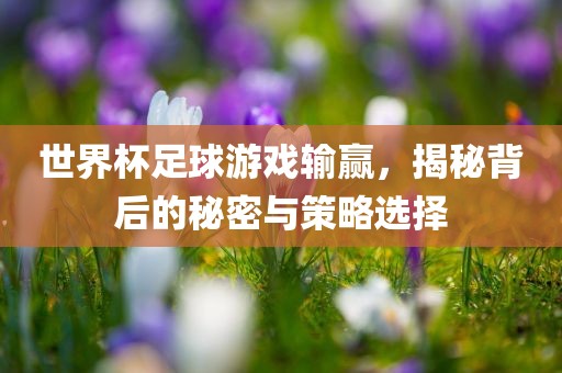 世界杯足球游戏输赢，揭秘背后的秘密与策略选择