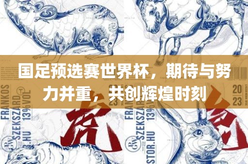 国足预选漯河市盈旭机械设备有限公司赛世界杯，期待与努力并重，共创辉煌时刻