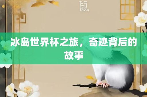 冰岛世界杯之旅，奇迹背后的故事