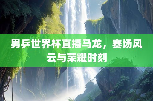 男乒世界杯直播马龙，赛场风云与荣耀时刻漯河市盈旭机械设备有限公司
