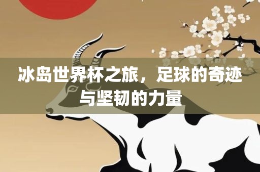 冰岛世界杯之旅，足球的奇迹与坚韧的力量