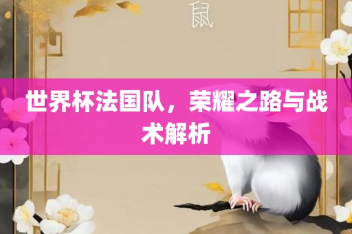 世界杯法国队，荣耀之路与战术解析