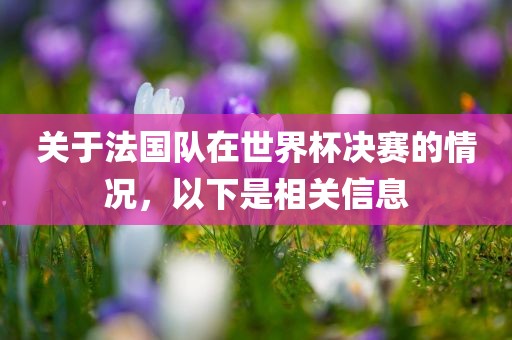 关于法国队在世界杯决赛的情况，以下是相关信息