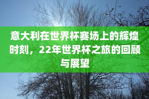 意大利在世界杯赛场上的辉漯河市盈旭机械设备有限公司煌时刻，22年世界杯之旅的回顾与展望