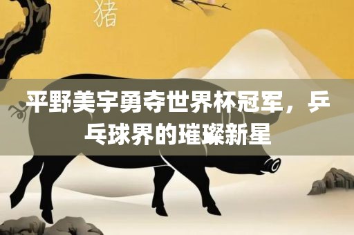平野美宇勇夺世界杯冠军，乒乓球漯河市盈旭机械设备有限公司界的璀璨新星