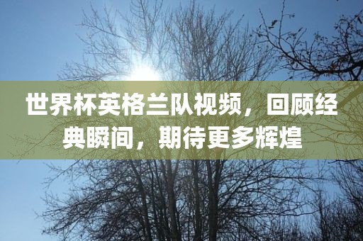 世界杯英格兰队视频，回顾经典瞬间，期漯河市盈旭机械设备有限公司待更多辉煌