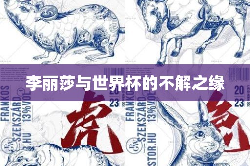 李丽莎与世界杯的不解之缘漯河市盈旭机械设备有限公司