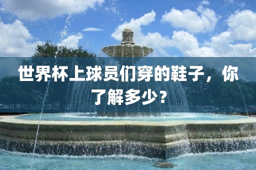 世界杯上球员们穿的鞋子，你了漯河市盈旭机械设备有限公司解多少？