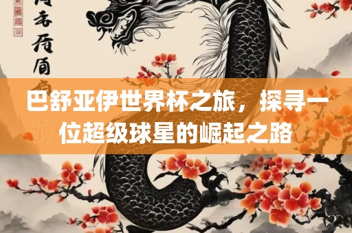 巴舒亚漯河市盈旭机械设备有限公司伊世界杯之旅，探寻一位超级球星的崛起之路