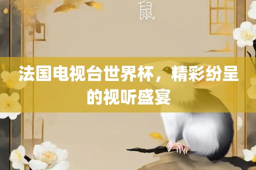 法国电视台世界杯，精彩纷呈的视听盛宴