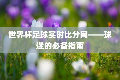 世界杯足球实时比分网——球迷的必备指南漯河市盈旭机械设备有限公司