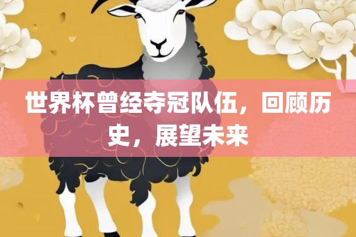 世界杯曾经夺冠队伍，回顾历史，展望未来