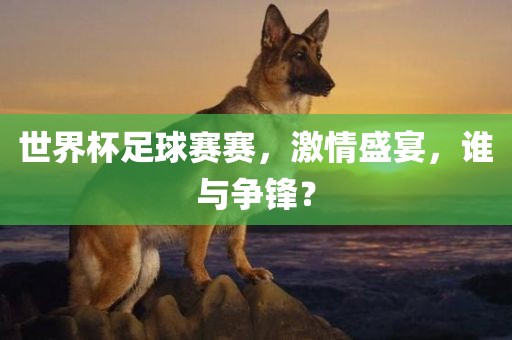 世界杯足球赛赛，激情盛宴，谁与争锋？