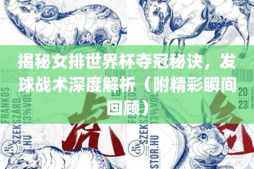 揭秘女排世界杯夺冠秘诀，发球战术深度解析（附精彩瞬间回顾）漯河市盈旭机械设备有限公司
