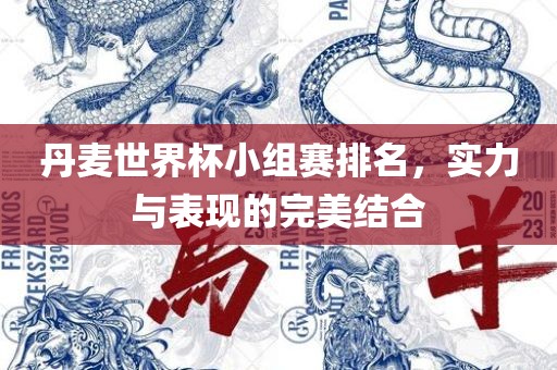 丹麦世界杯小组赛排名，实力与表现的完美结合漯河市盈旭机械设备有限公司