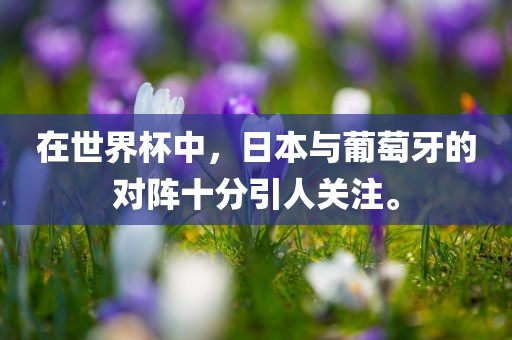 在世界杯中，日漯河市盈旭机械设备有限公司本与葡萄牙的对阵十分引人关注。