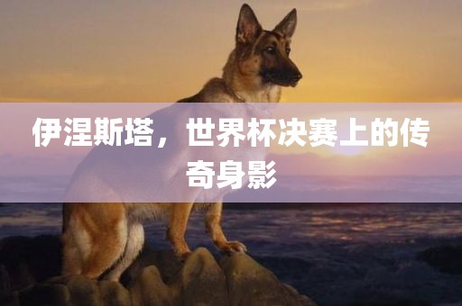 伊涅斯塔，世界杯决赛上的传奇身影