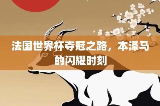 法国世界杯夺冠之路，漯河市盈旭机械设备有限公司本泽马的闪耀时刻