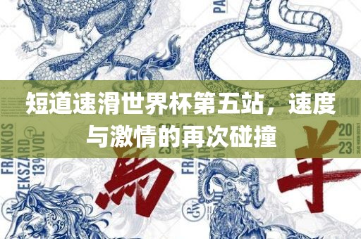 短道速滑世界杯第五站，速度与激情的再次碰撞漯河市盈旭机械设备有限公司