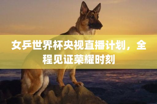 女乒世界杯央视直播计划，全程见证荣耀时刻
