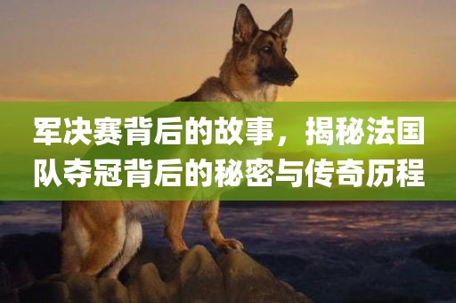 军决赛背后的故事，揭秘法国队夺冠背后的秘密漯河市盈旭机械设备有限公司与传奇历程