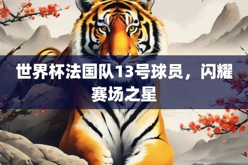世界杯法国队13号球员，闪耀赛场之星