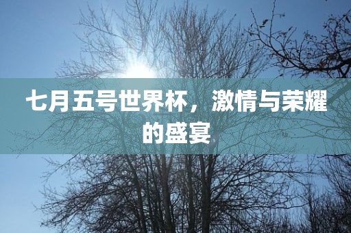 七月五号世界杯，激情与荣耀的盛宴
