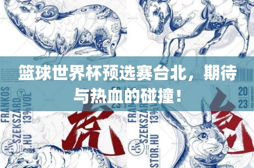 篮球世界杯预选赛台北，期待与热血的碰撞！漯河市盈旭机械设备有限公司