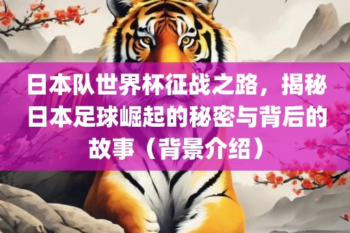 日本队世界杯征战之路，揭秘日本足球崛起的秘密与背后的故事（背景介绍）