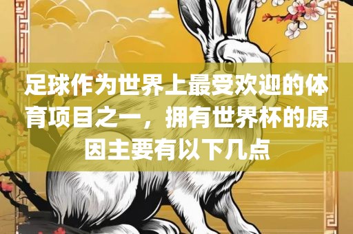 足球作为世界上最受欢迎的体育项目之一，拥有世界杯的原因主要有以下几点