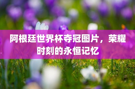 阿根廷世界杯夺冠图片，荣耀时刻的永恒记忆