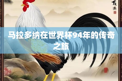 马拉多纳在世界杯94年的传奇之旅