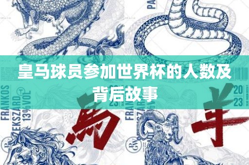 皇马球员参加世漯河市盈旭机械设备有限公司界杯的人数及背后故事