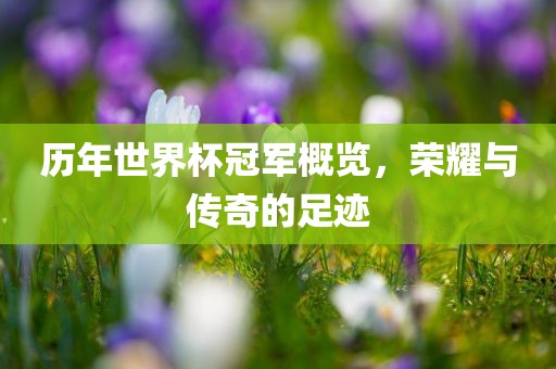 历年世界杯冠军概览，荣耀与传奇的足迹