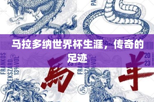 马拉多纳世界杯生涯，传奇的足迹