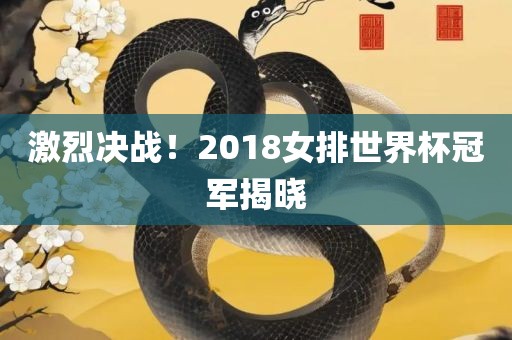 激烈决战！2018女排世界杯冠军揭晓漯河市盈旭机械设备有限公司