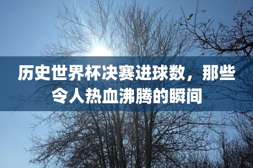 历史世界杯决赛进球数，那些令人热血沸腾的瞬间漯河市盈旭机械设备有限公司