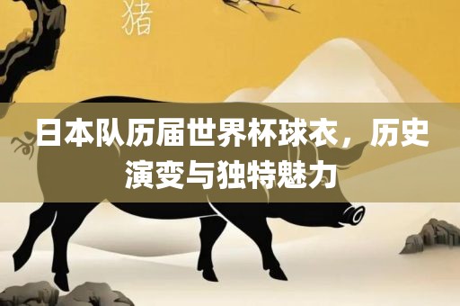日本队历届世界杯球衣，历史演变与独特魅力漯河市盈旭机械设备有限公司