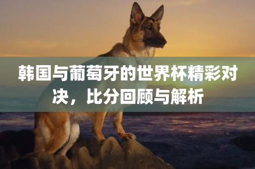 韩国与葡萄牙的世界杯精彩对决，比分回顾与解析